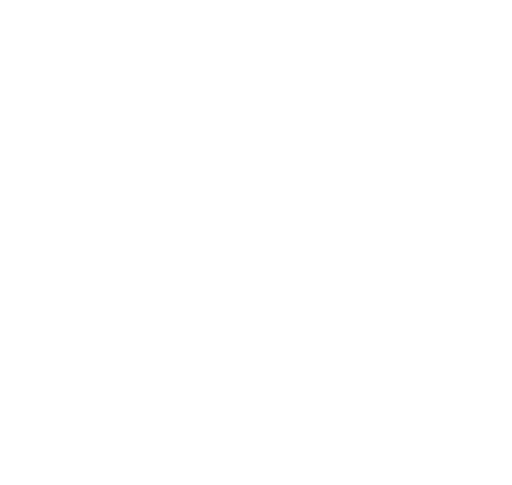 Icon industries Gobierno 