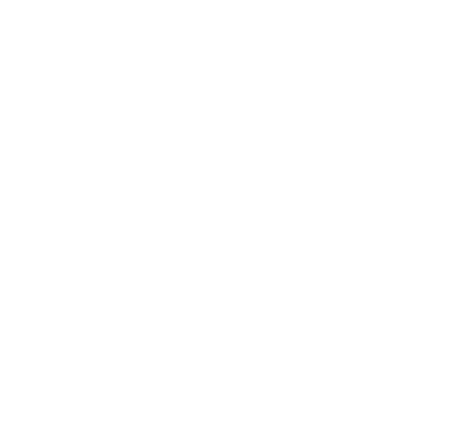 Icon industries Manufactura