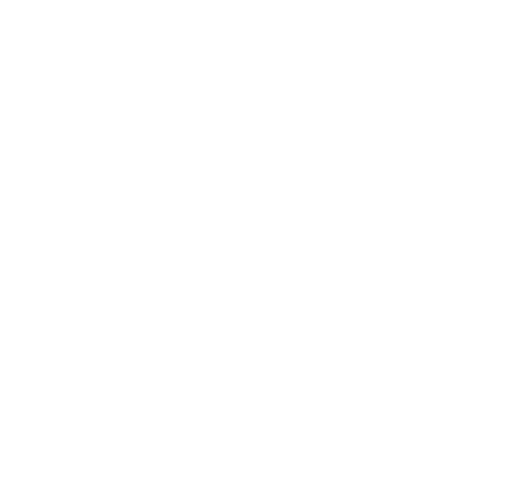 Icon industries Retail