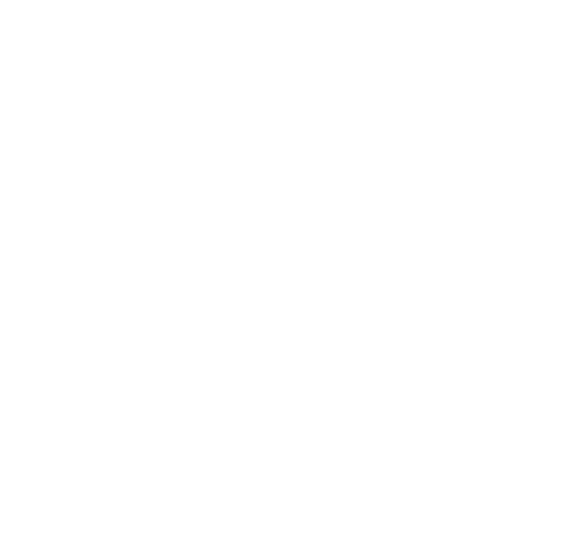 Icon industries Salud