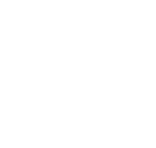 Icon industries Servicios Profesionales