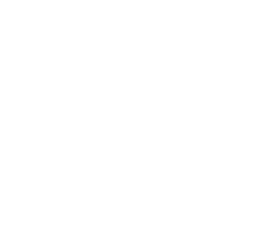 Icon industries Servicios Tecnologicos